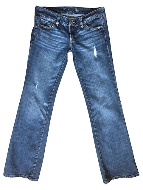 American Eagle Favorite Boyfriend Blue Jean