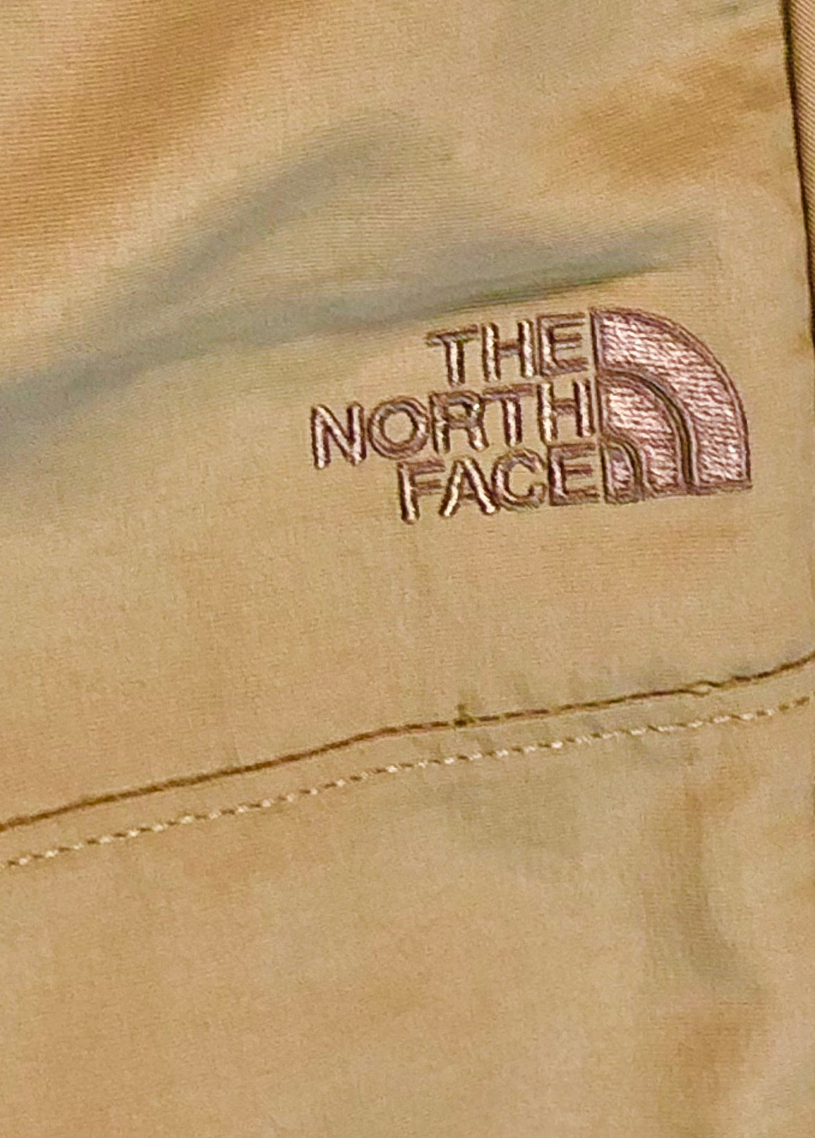 The North Face Class V Moisture Wicking Pants